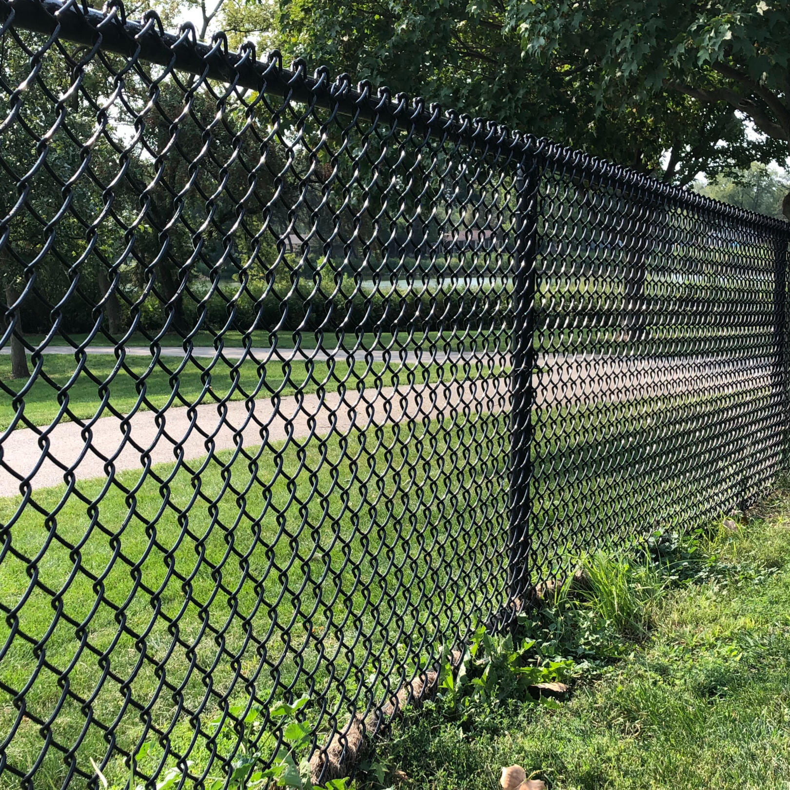 chain link fence Palatine fence company illinois